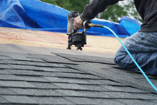 Best Storm Damage Roof Repair  in Nacogdoches, TX